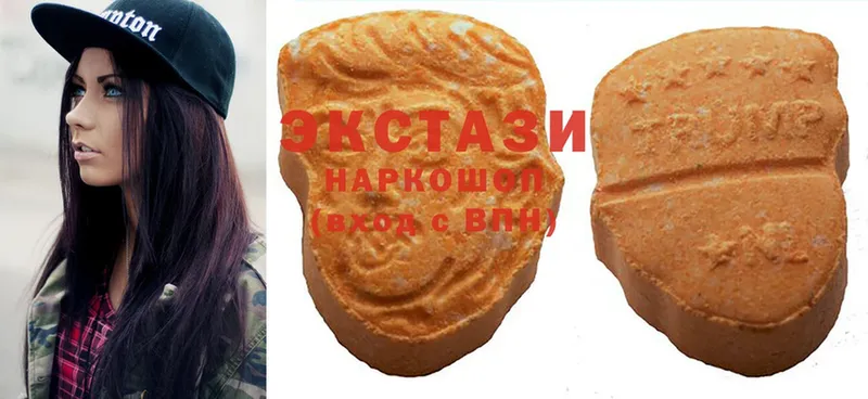 Ecstasy Punisher  Верещагино 